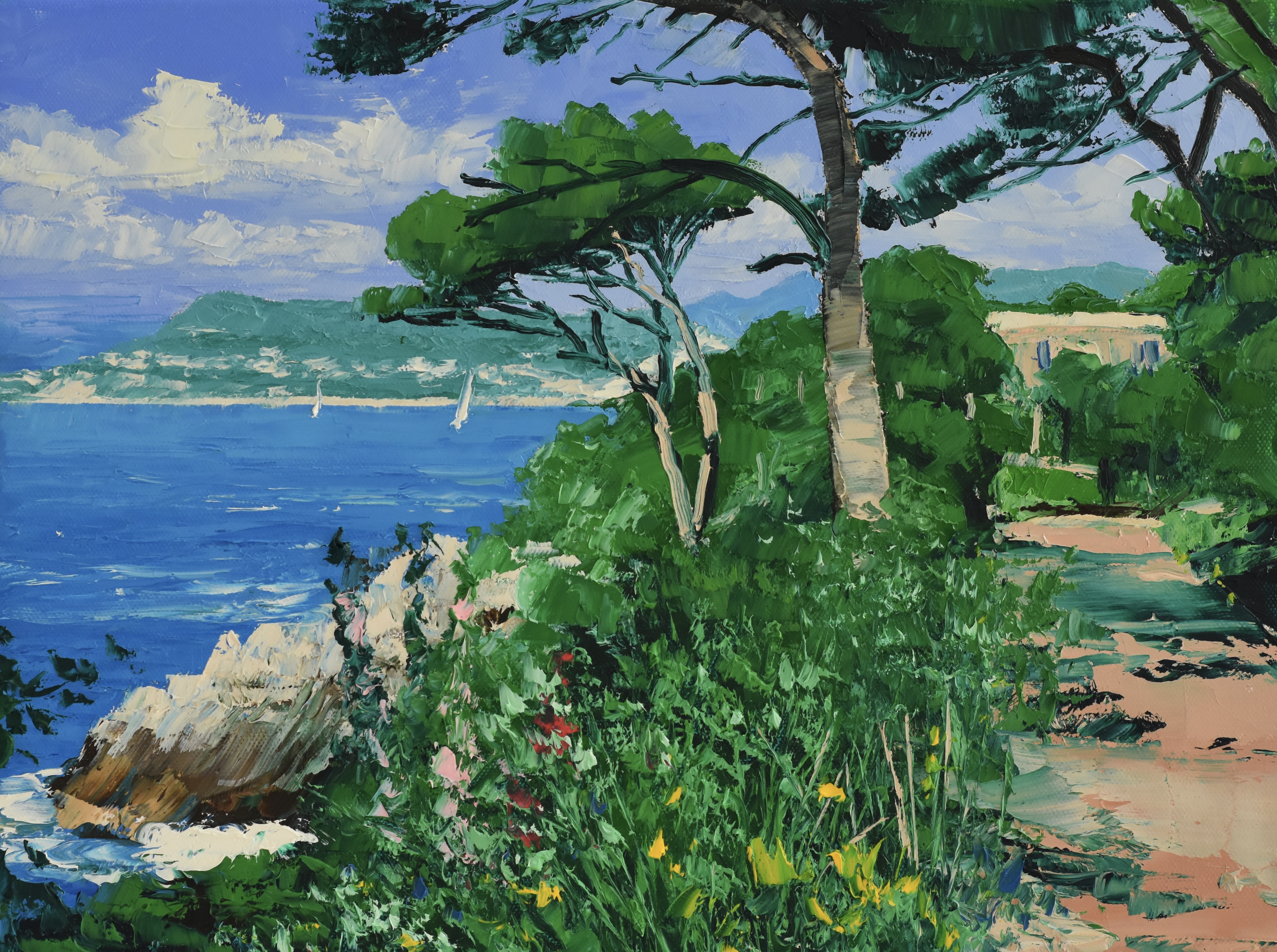 Wild Flowers, Coastal Path